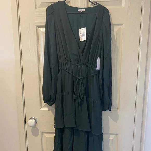 Brand new! Never worn! Tussah, emerald midi dress! Size 10 - Picture 8 of 10